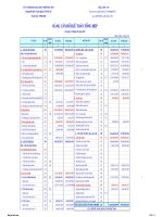 Báo cáo tài chính hợp nhất quý 1 năm 2010 - Công ty Cổ phần Kinh doanh và Phát triển Bình Dương