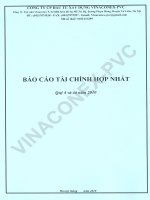 Báo cáo tài chính hợp nhất quý 4 năm 2010 - Công ty Cổ phần Đầu tư Xây dựng Vinaconex - PVC