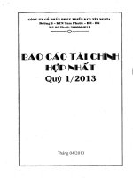 Báo cáo tài chính hợp nhất quý 1 năm 2013 - Công ty cổ phần Phát triển Khu Công nghiệp Tín Nghĩa