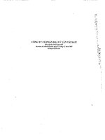 Báo cáo tài chính hợp nhất năm 2009 (đã kiểm toán) - Công ty Cổ phần Đại lý Vận tải SAFI