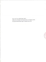 Báo cáo tài chính hợp nhất quý 1 năm 2015 - Công ty Cổ phần Tập đoàn Đầu tư Thăng Long