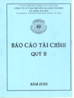 Báo cáo tài chính hợp nhất quý 2 năm 2013 - Công ty cổ phần Vận chuyển Sài Gòn Tourist
