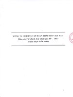 Báo cáo tài chính hợp nhất quý 3 năm 2012 - Công ty Cổ phần Tập đoàn Thái Hòa Việt Nam