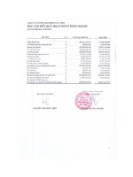 Báo cáo KQKD quý 3 năm 2010 - Công ty cổ phần Mía đường Thành Thành Công Tây Ninh