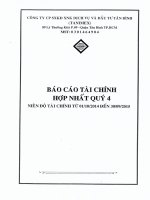 Báo cáo tài chính hợp nhất quý 4 năm 2015 - Công ty cổ phần Sản xuất Kinh doanh Xuất nhập khẩu Dịch vụ và Đầu tư Tân Bình
