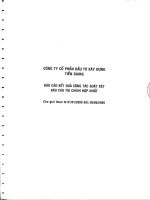 Báo cáo tài chính hợp nhất quý 2 năm 2009 (đã soát xét) - Công ty Cổ phần Đầu tư và Xây dựng Tiền Giang
