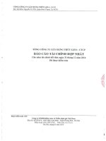 Báo cáo tài chính hợp nhất năm 2014 (đã kiểm toán) - Tổng công ty Xây dựng Thủy lợi 4 - CTCP