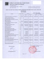 Báo cáo tài chính hợp nhất quý 4 năm 2009 - Công ty Cổ phần Đại lý Vận tải SAFI