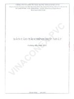 Báo cáo tài chính hợp nhất quý 2 năm 2011 - Công ty Cổ phần Đầu tư Xây dựng Vinaconex - PVC