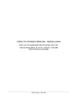 Báo cáo tài chính hợp nhất quý 2 năm 2009 (đã soát xét) - Công ty cổ phần Sông Đà - Thăng Long