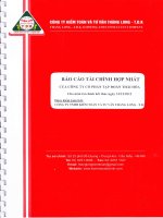 Báo cáo tài chính hợp nhất năm 2012 (đã kiểm toán) - Công ty Cổ phần Tập đoàn Thái Hòa Việt Nam
