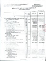 Báo cáo tài chính hợp nhất quý 4 năm 2010 - Công ty Cổ phần Giống cây trồng Miền Nam