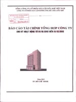 Báo cáo tài chính quý 4 năm 2012 - Công ty Cổ phần Xây lắp Đường ống Bể chứa Dầu khí