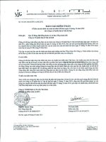 Báo cáo tài chính công ty mẹ năm 2010 (đã kiểm toán) - Công ty Cổ phần Đại lý Vận tải SAFI