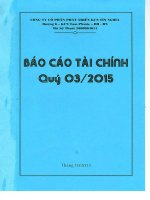 Báo cáo tài chính công ty mẹ quý 3 năm 2015 - Công ty cổ phần Phát triển Khu Công nghiệp Tín Nghĩa