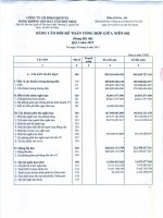 Báo cáo tài chính công ty mẹ quý 2 năm 2015 - CTCP Dịch vụ Hàng không Sân bay Tân Sơn Nhất