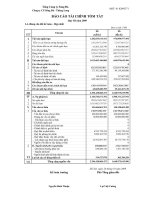 Báo cáo tài chính hợp nhất quý 3 năm 2009 - Công ty cổ phần Sông Đà - Thăng Long