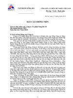 Báo cáo thường niên năm 2010 - Công ty Cổ phần Sông Đà 10