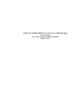 Báo cáo tài chính quý 2 năm 2009 (đã soát xét) - Công ty cổ phần Dịch vụ Vận tải và Thương mại