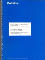 Báo cáo tài chính quý 2 năm 2010 (đã soát xét) - Công ty Cổ phần Xây lắp Đường ống Bể chứa Dầu khí