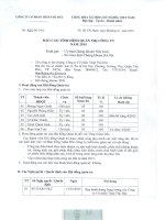Báo cáo tình hình quản trị công ty - Công ty cổ phần Thép Thủ Đức - Vnsteel