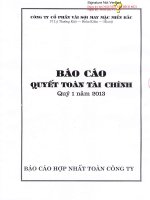 Báo cáo tài chính hợp nhất quý 1 năm 2013 - Công ty Cổ phần Vải sợi May mặc Miền Bắc