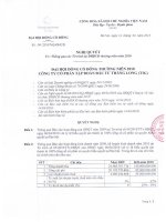 Nghị quyết đại hội cổ đông ngày 14-4-2010 - Công ty Cổ phần Tập đoàn Đầu tư Thăng Long