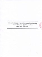 Báo cáo tài chính công ty mẹ quý 4 năm 2012 - Công ty Cổ phần Tập đoàn Thái Hòa Việt Nam