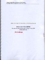 Báo cáo tài chính năm 2008 (đã kiểm toán) - Công ty Cổ phần Đầu tư Xây dựng và Phát triển Đô thị Sông Đà