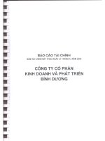 Báo cáo tài chính năm 2009 (đã kiểm toán) - Công ty Cổ phần Kinh doanh và Phát triển Bình Dương