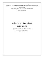 Báo cáo tài chính hợp nhất quý 3 năm 2012 - Công ty cổ phần Sản xuất Kinh doanh Xuất nhập khẩu Dịch vụ và Đầu tư Tân Bình