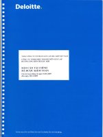 Báo cáo tài chính 11 tháng đầu năm 2009 - Công ty Cổ phần Xây lắp Đường ống Bể chứa Dầu khí