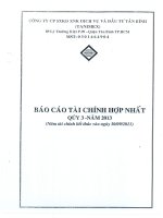 Báo cáo tài chính hợp nhất quý 3 năm 2013 - Công ty cổ phần Sản xuất Kinh doanh Xuất nhập khẩu Dịch vụ và Đầu tư Tân Bình