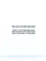 Báo cáo tài chính hợp nhất năm 2014 (đã kiểm toán) - Công ty cổ phần Sản xuất Kinh doanh Xuất nhập khẩu Dịch vụ và Đầu tư Tân Bình