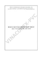 Báo cáo tài chính hợp nhất quý 3 năm 2010 - Công ty Cổ phần Đầu tư Xây dựng Vinaconex - PVC
