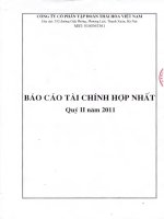 Báo cáo tài chính hợp nhất quý 2 năm 2011 - Công ty Cổ phần Tập đoàn Thái Hòa Việt Nam