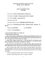 Báo cáo thường niên năm 2008 - Công ty cổ phần Sông Đà - Thăng Long