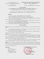 Nghị quyết Hội đồng Quản trị ngày 30-7-2010 - Công ty Cổ phần Sông Đà 1