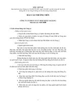Báo cáo thường niên năm 2008 - Công ty Cổ phần Xuất nhập khẩu Sa Giang