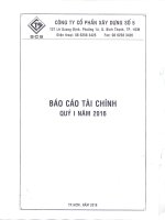 Báo cáo tài chính quý 1 năm 2016 - Công ty Cổ phần Xây dựng số 5