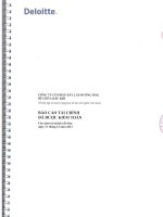Báo cáo tài chính năm 2013 (đã kiểm toán) - Công ty Cổ phần Xây lắp Đường ống Bể chứa Dầu khí