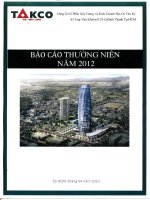 Báo cáo thường niên năm 2011 - Công  ty Cổ phần Xây dựng và Kinh doanh Địa ốc Tân Kỷ