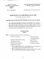 Nghị quyết Hội đồng Quản trị - Công ty cổ phần Sản xuất Kinh doanh Xuất nhập khẩu Dịch vụ và Đầu tư Tân Bình