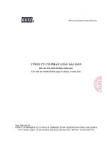 Báo cáo tài chính năm 2012 (đã kiểm toán) - Công ty Cổ phần Giầy Sài Gòn