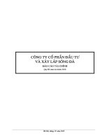 Báo cáo tài chính quý 3 năm 2010 - Công ty Cổ phần Đầu tư và Xây lắp Sông Đà