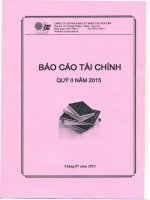 Báo cáo tài chính quý 2 năm 2015 - Công ty Cổ phần Đầu tư Điện Tây Nguyên