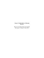 Báo cáo tài chính công ty mẹ năm 2010 (đã kiểm toán) - Công ty Cổ phần Dịch vụ tổng hợp Sài Gòn