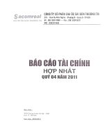 Báo cáo tài chính hợp nhất quý 4 năm 2011 - Công ty Cổ phần Địa ốc Sài Gòn Thương Tín