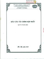 Báo cáo tài chính hợp nhất quý 1 năm 2014 - Công ty Cổ phần Xây dựng hạ tầng Sông Đà