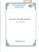 Báo cáo tài chính hợp nhất quý 1 năm 2013 - Công ty Cổ phần Xây dựng hạ tầng Sông Đà
